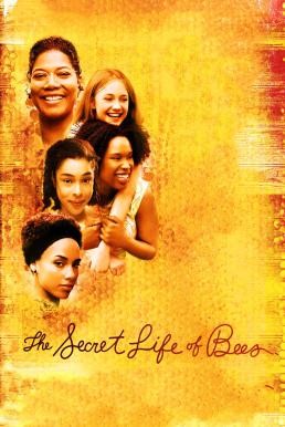 ดูหนังออนไลน์ The Secret Life of Bees สูตรรักรสน้ำผึ้ง (2008)