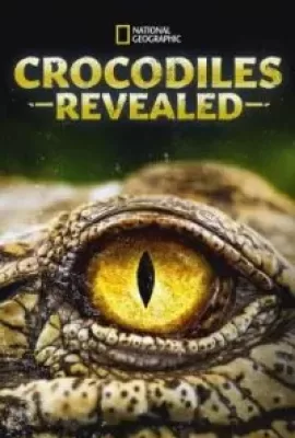 ดูหนังออนไลน์ Crocodiles Revealed (2022) บรรยายไทย