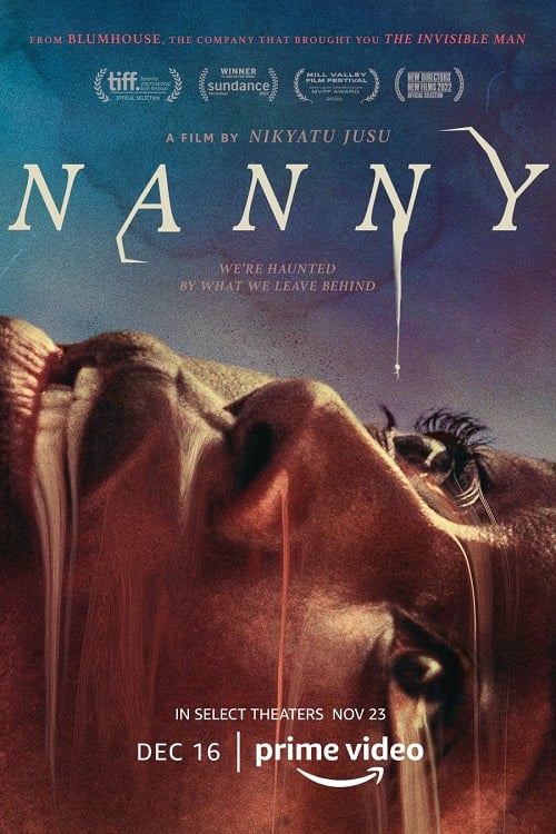 ดูหนังออนไลน์ฟรี Nanny แนนนี่ พี่เลี้ยงหลอน (2022) บรรยายไทย