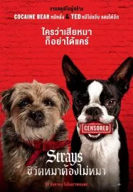 ดูหนังออนไลน์ฟรี STRAYS (2023) ชีวิตหมาต้องไม่หมา